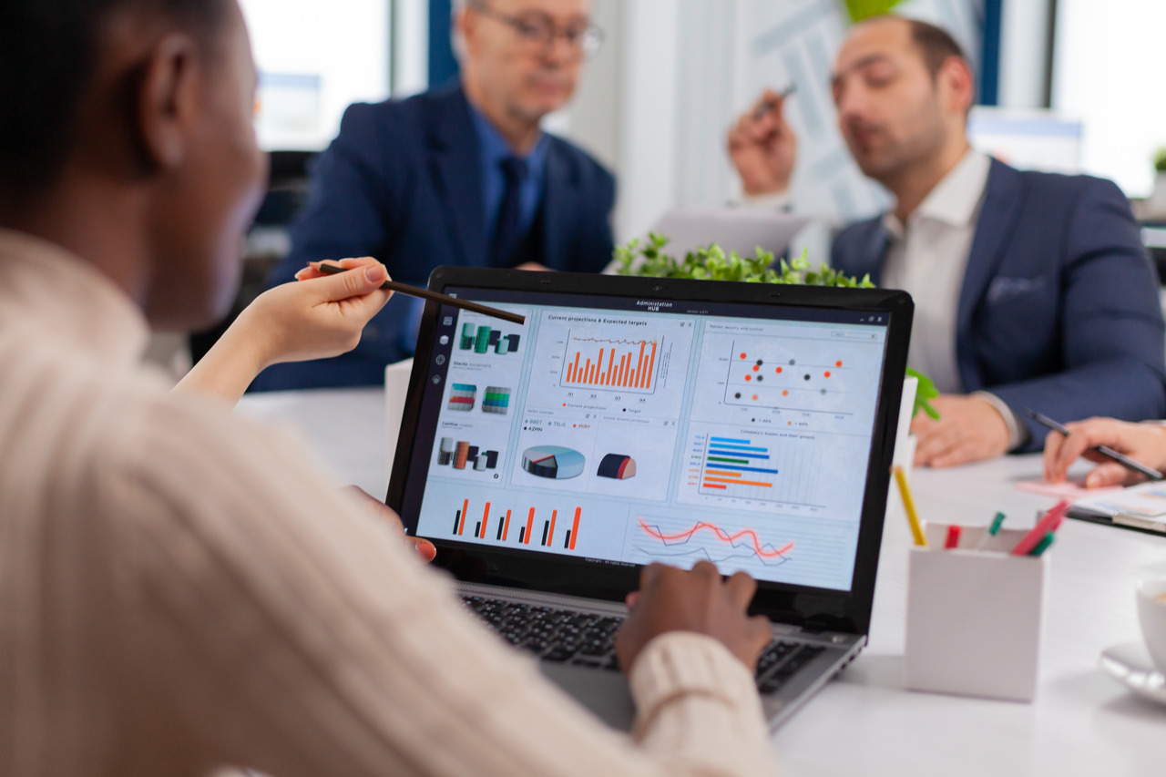 Custom web application and software development dashboard preview